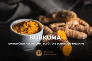 Kurkuma-und-Borreliose-Blogbeiträge-Haßdenteufel